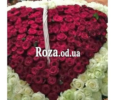 Сердце из 350 роз 3