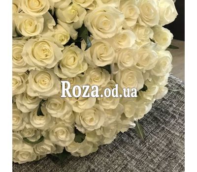 101 белая роза 70 см 2