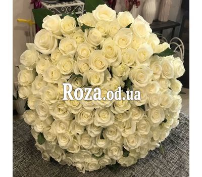 101 белая роза 70 см 3