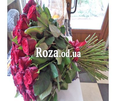 101 red rose 60 cm 1