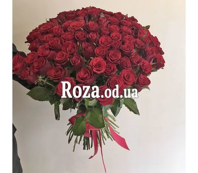 101 red rose 60 cm 2