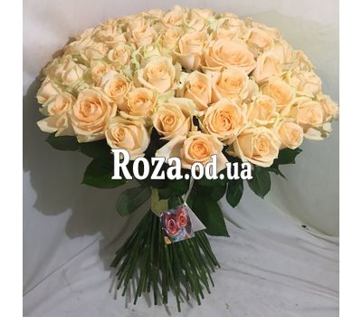 101 cream rose 60 cm 3