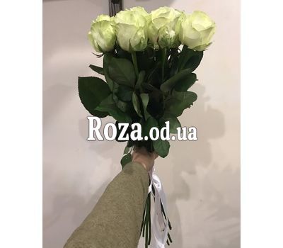 11 белых роз 5