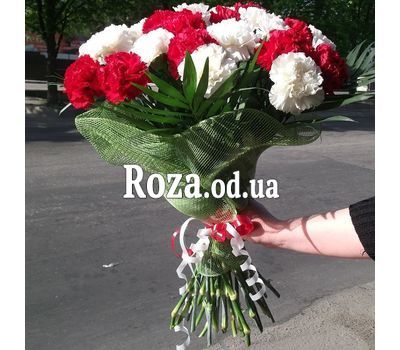 25 бело-красных гвоздик 1