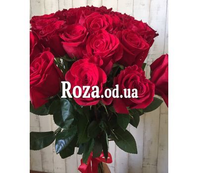 25 импортных роз 5