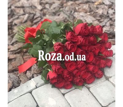 31 красная импортная роза 1