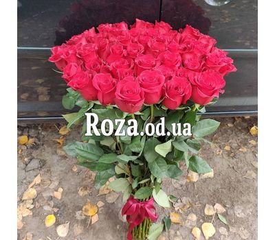 51 импортная роза 1 м 2