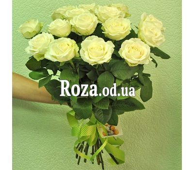 Белые розы 2