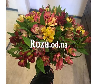 Bouquet of 21 alstroemerias 3