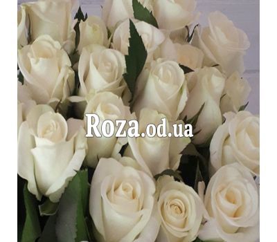 Bouquet of 29 white roses 1