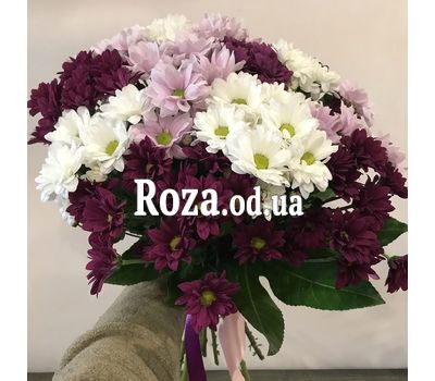 Букет разноцветных хризантем 2