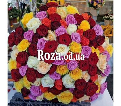 Multicolored roses 1