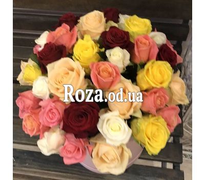 Roses in a Hat Box 7