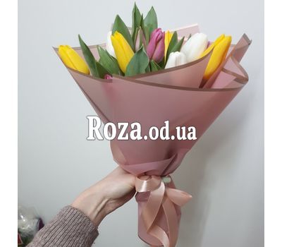 11 multicolored tulips 2