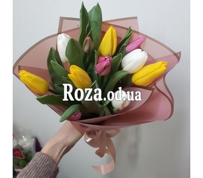 11 multicolored tulips 3