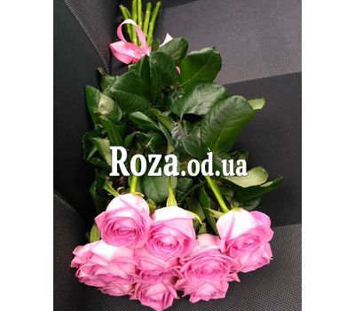11 розовых роз 2