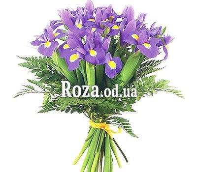 21 синий ирис