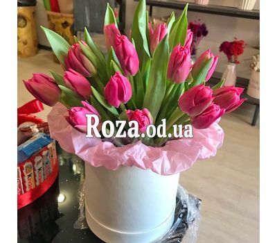 25 тюльпанів в коробці 1