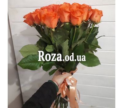 31 восхитительная оранжевая роза 4