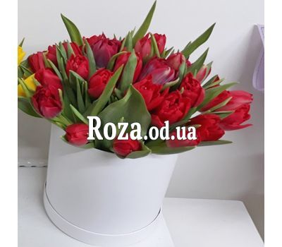 35 красных тюльпанов в коробке 1