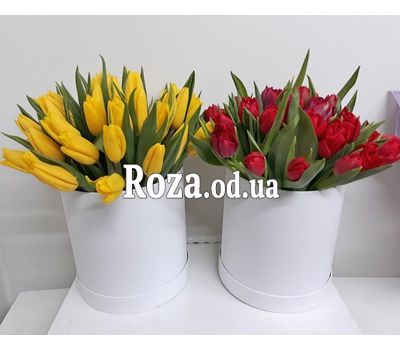 35 красных тюльпанов в коробке 3