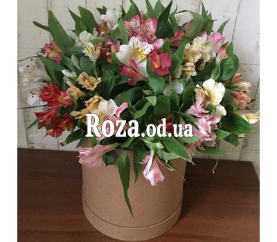 Alstroemeria in the box 3