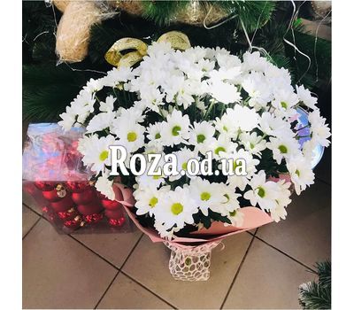11 chamomile chrysanthemums 1