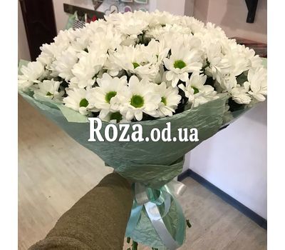 Букет 17 ромашковых хризантем 1