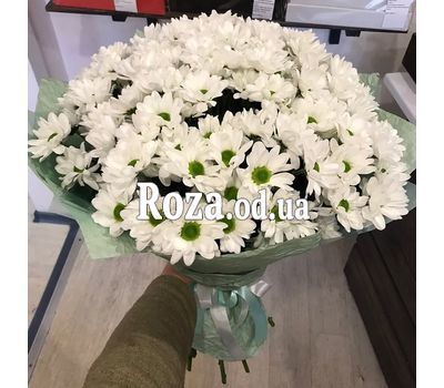 Букет 17 ромашковых хризантем 2