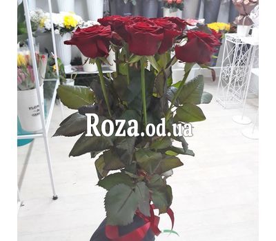 Букет из 11 красных роз 70 см 1