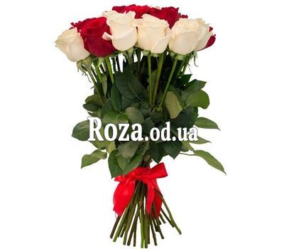 25 red and white roses 1
