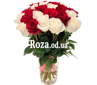 25 red and white roses 2
