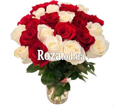 25 red and white roses