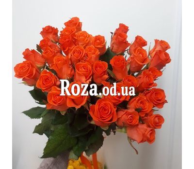 Букет из 35 роз 4