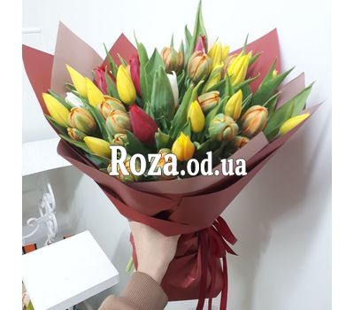55 multicolored tulips 1