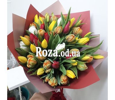 55 multicolored tulips 2