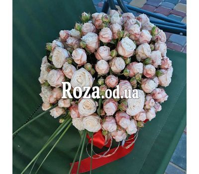 Нежный комплимент 5