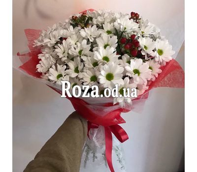 Ромашковое утро 2