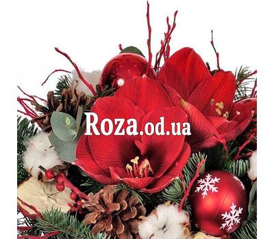 Christmas composition with amaryllis 1