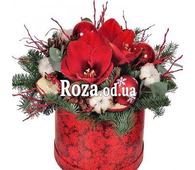 Christmas composition with amaryllis