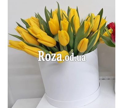 Желтые тюльпаны в коробке 1