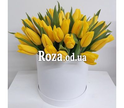 Желтые тюльпаны в коробке 2