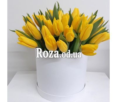 Желтые тюльпаны в коробке 5