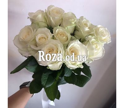 11 белых роз 13