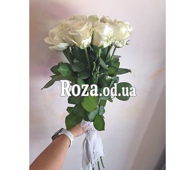 11 белых роз 12