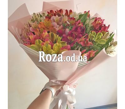 15 альстромерій 11