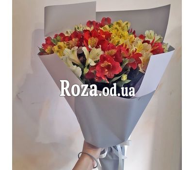 15 альстромерій 12