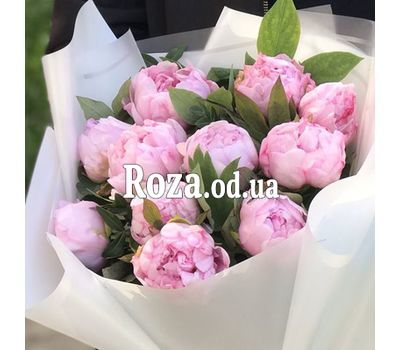 15 розовых пионов 1