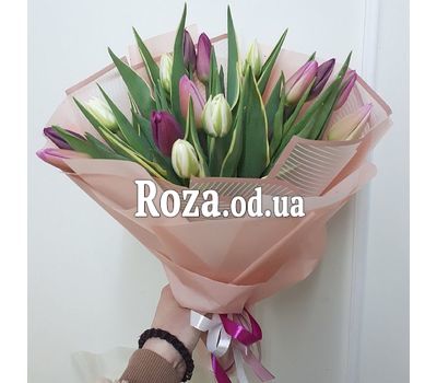 15 tulips 3