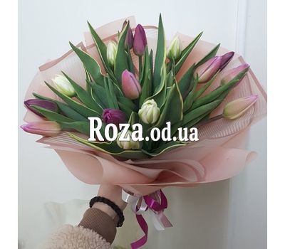15 tulips 4